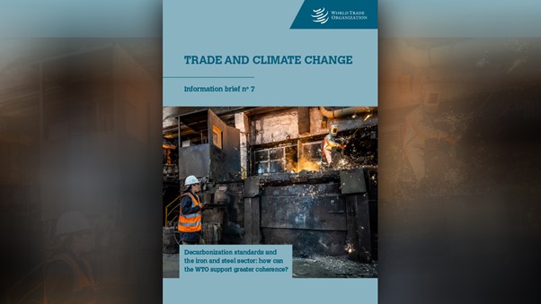 WTO issues guidance on steel decarbonatization standards..
